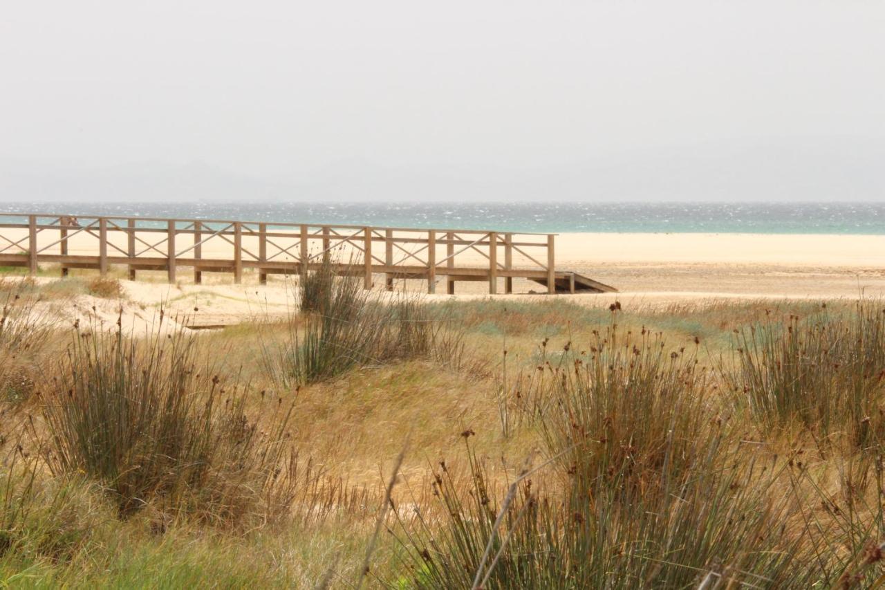 Los Lances Tarifa - Piscina Y Patio Kültér fotó